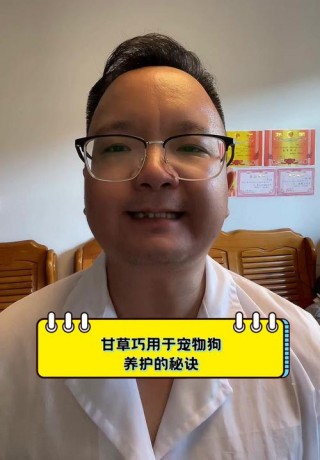 狗狗能吃甘草片吗？宠物狗狗能吃甘草吗（最新）