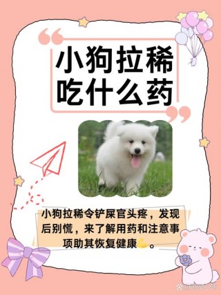 狗狗能吃黄连素吗，狗狗能不能吃黄莲素？