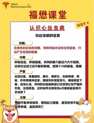 怎么确定狗狗有心丝虫，狗狗的心丝虫病？