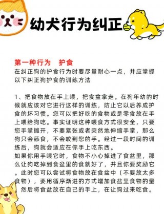 如何纠正狗狗护食？怎样纠正狗狗护食的行为（最新）