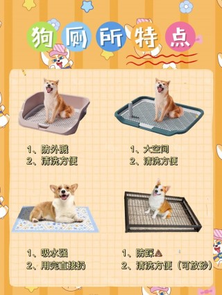 怎么教狗狗定点大小便？训练狗狗大小便的方法（最新）