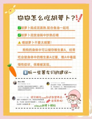 狗狗吃胡萝卜好吗？狗狗吃胡萝卜有哪些好处（最新）