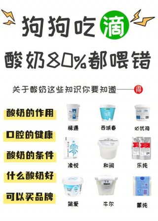 狗狗可以喝什么酸奶，（狗狗喝什么酸奶对身体好）