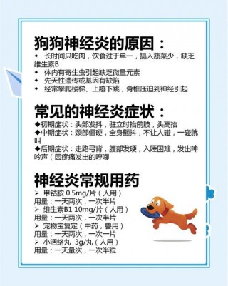 怎么预防狗狗得脑炎？如何预防小狗脑炎（最新）