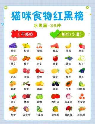 猫咪能吃菠萝吗，（猫咪能吃菠萝吗￼）