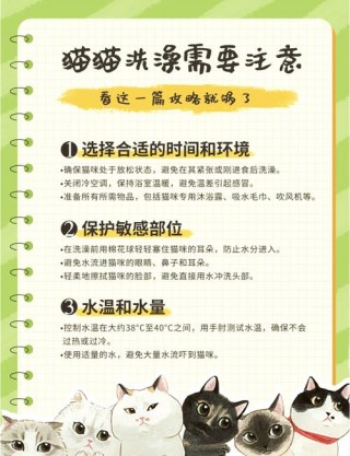 猫咪怀孕能不能洗澡，猫咪怀孕能不能洗澡呢？