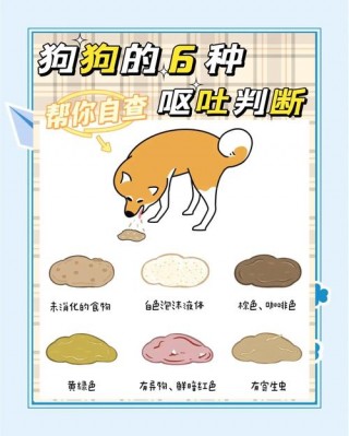 狗狗拉肚子能吃什么，狗狗拉肚子能吃什么东西？