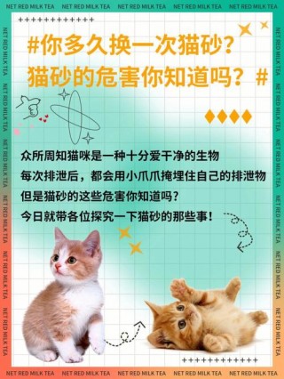 幼猫猫砂多久换一次，（幼猫猫砂用量）