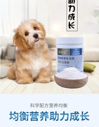 狗狗可以吃蛋白粉吗？狗狗可不可以吃蛋白粉（最新）