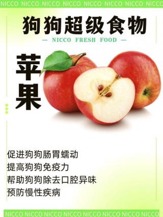 狗狗可以吃苹果吗，（请问狗狗可以吃苹果吗）