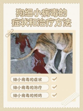 狗狗得了细小会传染吗？狗得了细小会传染给狗吗（最新）