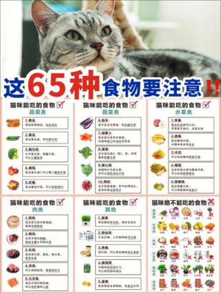 猫咪可以吃瓜子吗，（猫猫能吃瓜子嘛）