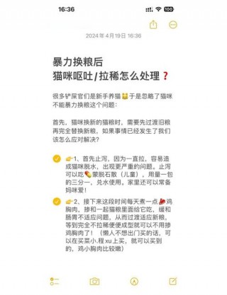 猫咪七天换粮法，猫咪七天换粮法是一天几次？