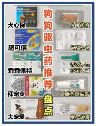 狗狗能吃人的打虫药吗，狗狗可以吃人类的打虫药吗？