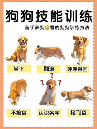 怎么逗狗狗开心，如何逗狗狗开心的声音？