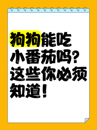 狗狗可以吃小番茄吗，狗狗可以吃小番茄吗?为什么？