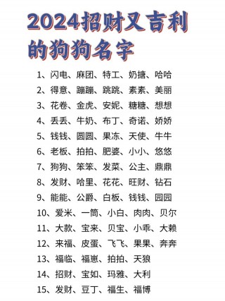 有寓意的狗狗名字，（有寓意的狗狗名字四胞胎）