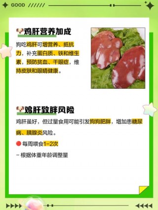 狗狗吃鸡肝好处和坏处，（狗狗吃鸡肝的好处）