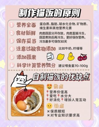 猫咪生完宝宝吃什么，（猫咪生完宝宝吃什么罐头）