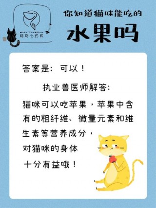 猫咪能吃苹果吗，（猫咪能吃苹果吗猫咪能吃苹果吗）