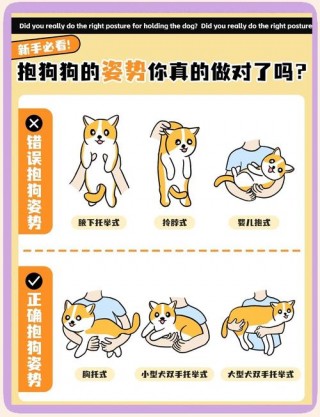 怎么让狗狗喜欢自己，怎么才能让狗狗喜欢自己,寸步不离?？