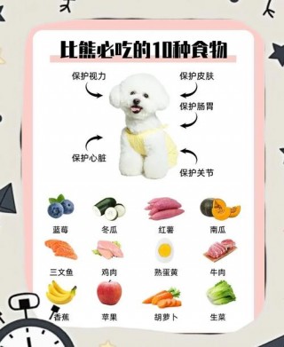 两三个月的狗狗吃什么，（两三个月的小狗吃多少狗粮）