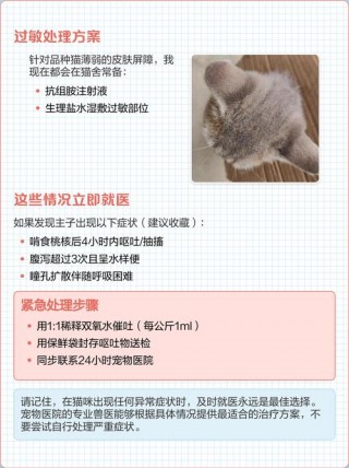 猫咪可以吃桃子吗，猫咪可以吃桃子么？