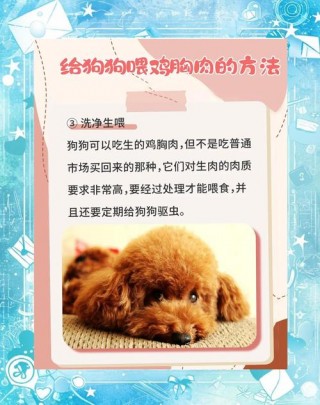 狗狗多久吃一次鸡胸肉，狗狗多久吃一次鸡胸肉比较好？