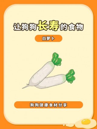 狗狗能吃青萝卜吗，（小狗狗能吃青萝卜吗）