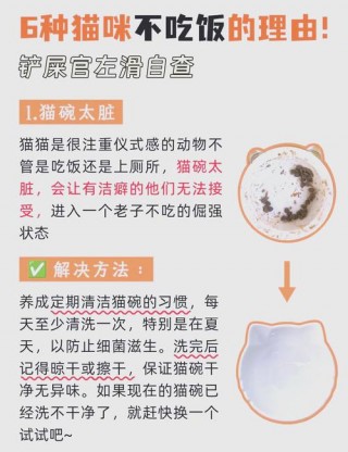 猫咪只吃不拉屎怎么办，猫咪只吃不拉屎怎么办吃什么药？