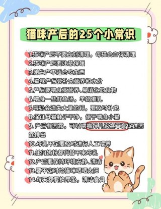 猫咪早产小猫能活吗，（猫早产会死吗）