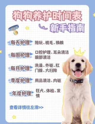 狗狗多久洗一次澡合适，（三个月的狗狗多久洗一次澡合适）