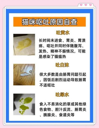 猫咪吐了一堆黄东西，（猫咪吐了好多黄色的液体）