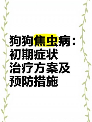 狗狗得了焦虫病的症状，（狗得了焦虫病会自愈吗）