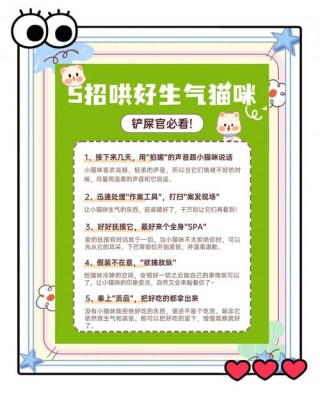 猫咪生气怎么办，（猫咪生气的时候会怎么样）