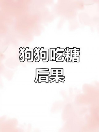 狗狗能吃冰糖吗，（狗吃冰糖行吗）