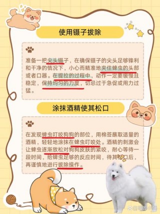 如何去除狗狗身上的蜱虫，（如何去除狗狗身上的蜱虫?）