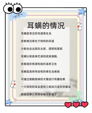 狗狗的耳螨怎么治，狗耳螨最简单的土方法？