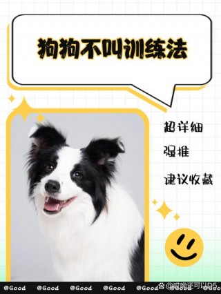 怎么才能让狗狗不叫，（怎么能够让狗不叫）