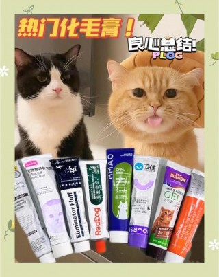 猫咪必须吃化毛膏吗，猫咪必须吃化毛膏吗怎么喂？
