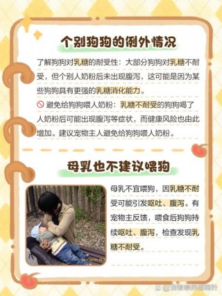 狗狗喝奶粉可以吗，狗可以喝奶粉嘛？