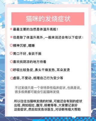 猫咪发烧怎么办，猫咪发烧怎么办如何处理？