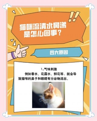 猫咪能喝板蓝根吗，猫可以喝板蓝根不？