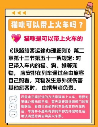 猫咪能坐高铁吗，坐高铁能不能带猫咪上车？