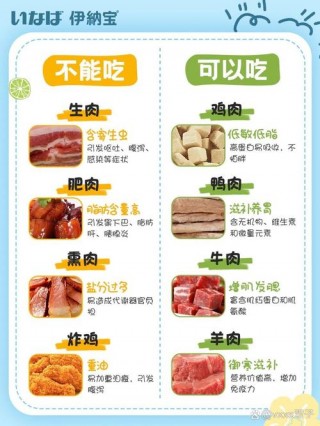 猫咪能吃鸭肉吗？猫咪能吃鸭肉吗有营养吗（最新）