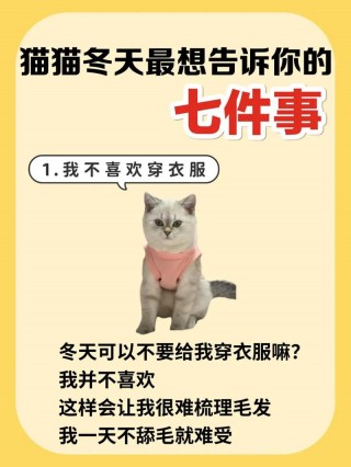 猫咪要穿衣服吗？猫咪到底需不需要穿衣服（最新）