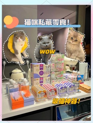 猫咪爱吃什么零食？猫最爱吃的10种零食（最新）