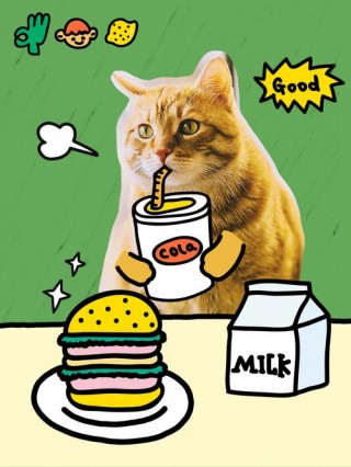 猫咪可以喝可乐吗，（猫咪可以喝可乐吗或雪碧）