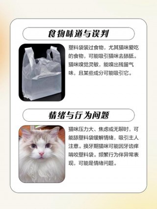 猫咪为什么喜欢舔塑料袋？猫咪为什么喜欢舔塑料袋的东西（最新）