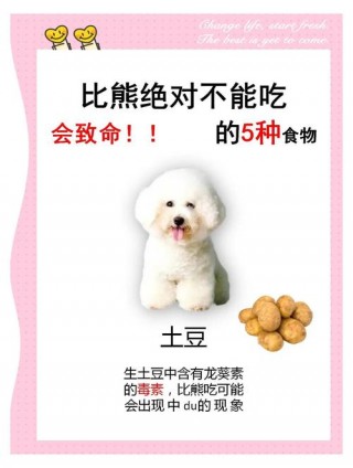 狗狗能喝绿豆粥吗，（狗狗能喝绿豆稀饭吗）